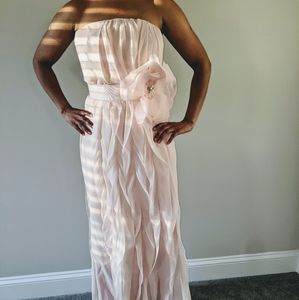 Strapless Vera Wang Pink Blush Gown